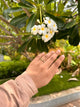 Triple blossom